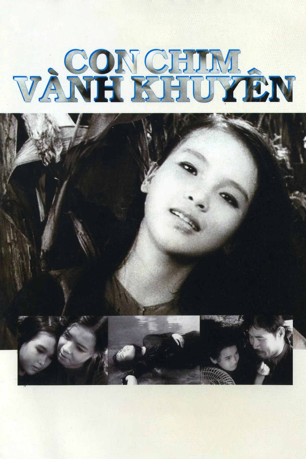 Con Chim Vành Khuyên